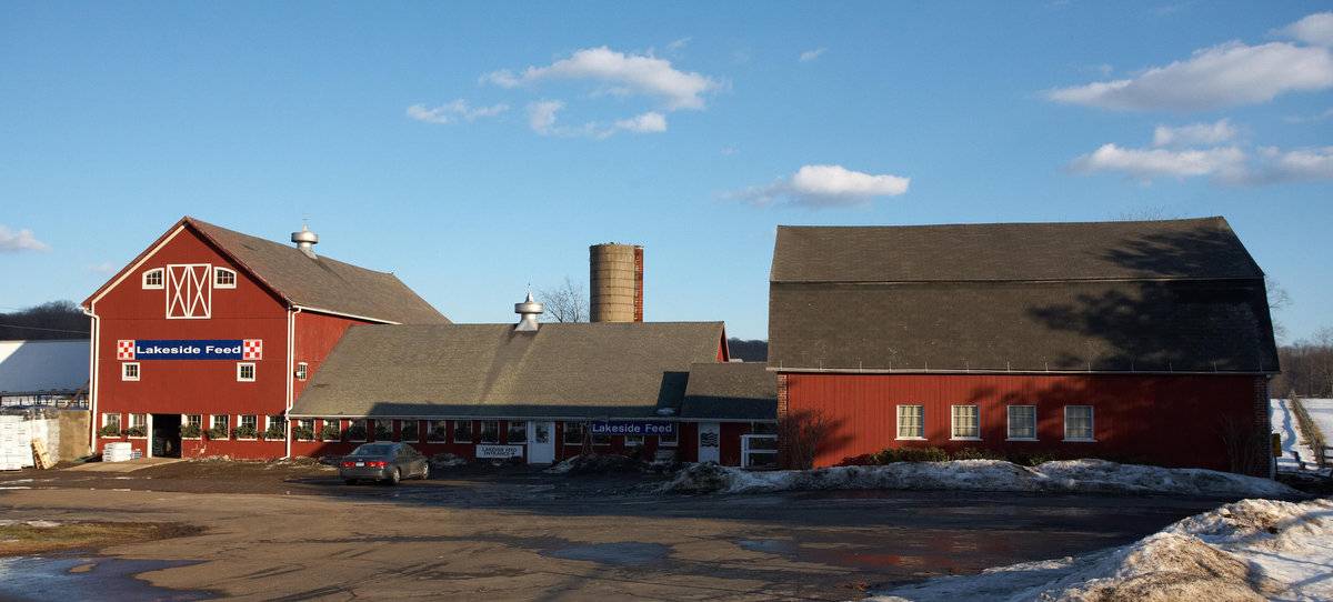 lakeside feed store photo