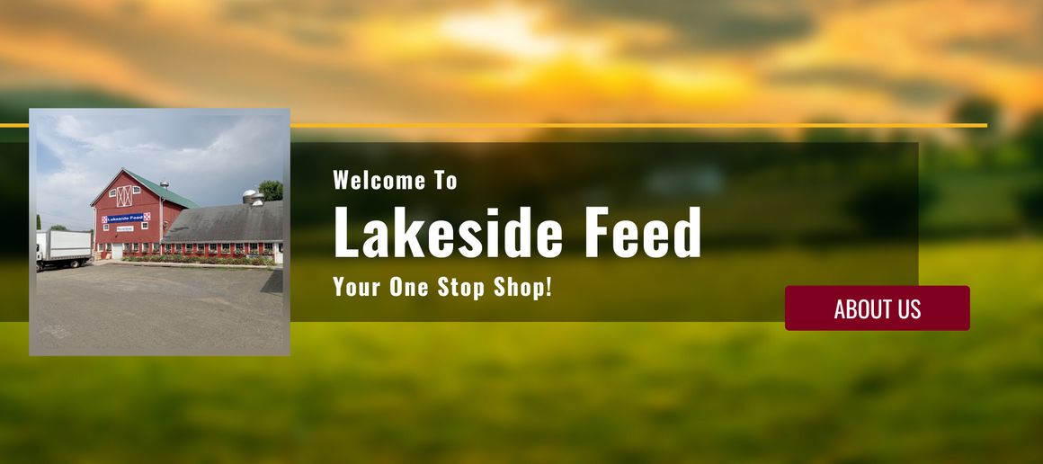 Lakeside Feed