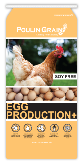 Poulin Grain Egg Production Plus